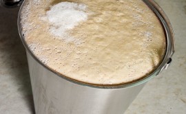 Fermentacija kvasca