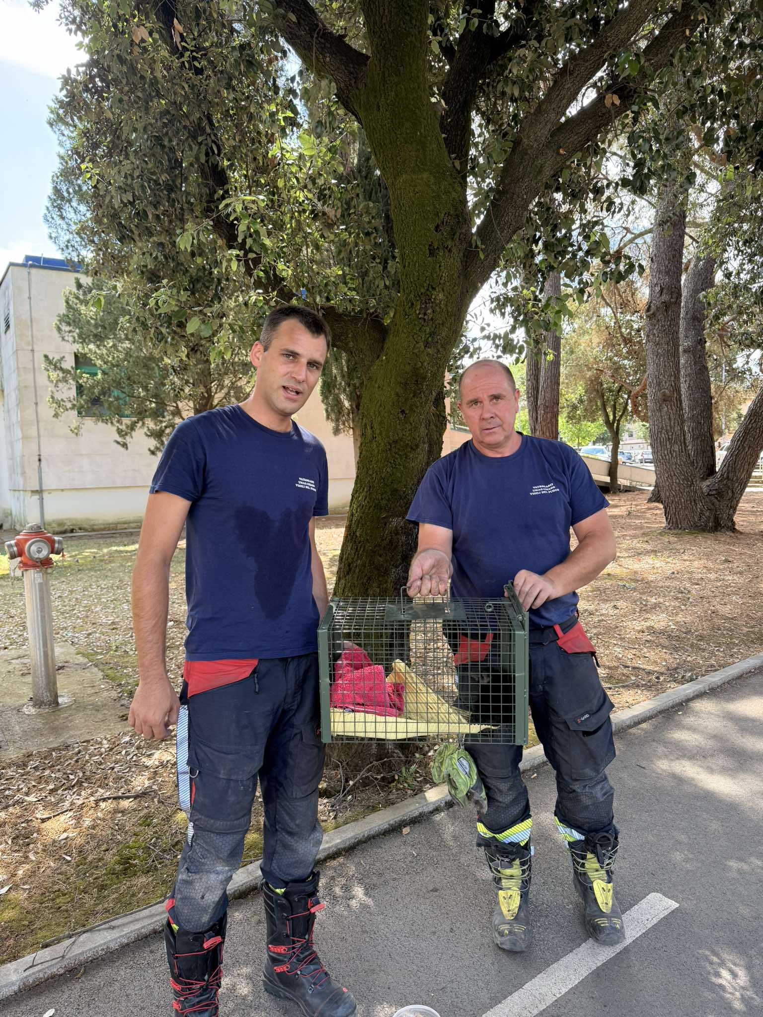 Vatrogasci Umag mačić (1)